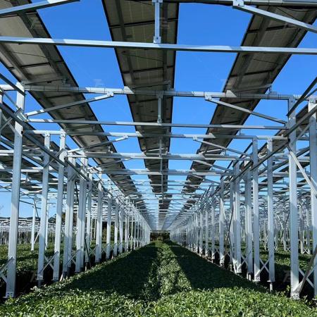 Farm Solar Structure